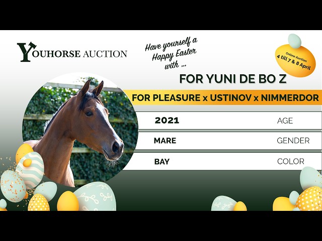For Yuni de Bo Z
