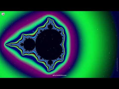 Fractal Harmony: Techno Trance & Trippy Visuals #3 @PsychedelicReverse #mandelbrot #trippy #cosmic