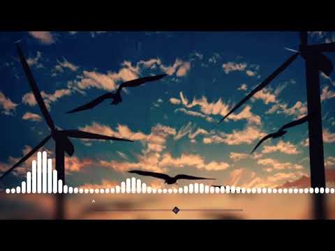 Dj dolphins - Skybeam