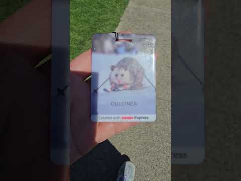 🖼Created Using AI Prompt "A Possum In The Snow On Skis" In Adobe Express @SXSW Unlocked Wed15 Oct 25