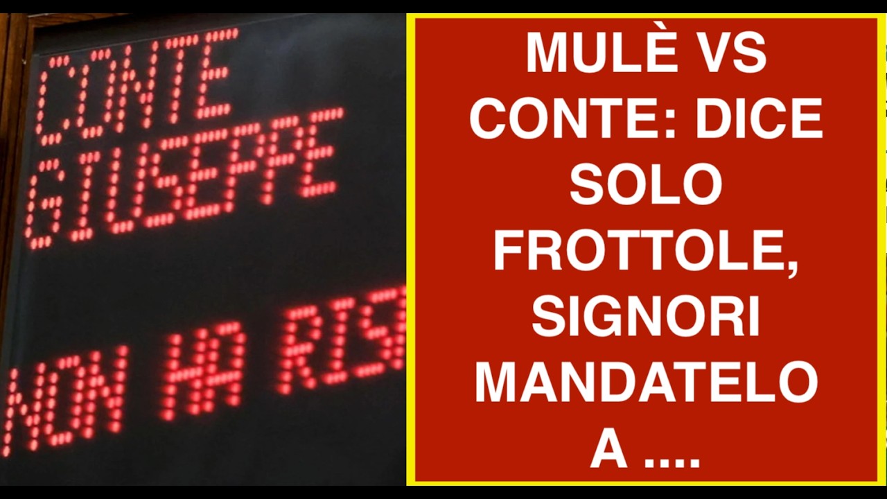 MULÈ VS CONTE: DICE SOLO FROTTOLE, SIGNORI MANDATELO A ....