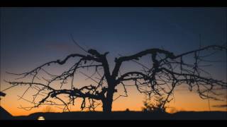 Colette Carr   Playhouse Ethos Remix