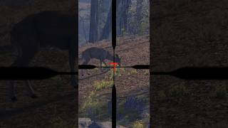 Mark your calendars! Stream 8pm-10pm EST Wednesday nights! #gaming #biggamehunting #hunting