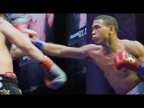 HOLLYWOOD FIGHT NIGHTS!