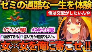セミの過酷な一生を体験する中で結構やばい発言もするころねｗ【ホロライブ切り抜き/戌神ころね】