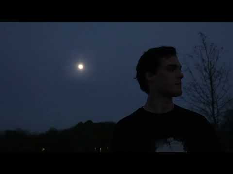 Bloodflowers video