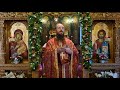 Father Nectarie Dărăban Sermon At The Feast Of Saint Demetrius The New 27 10 2022