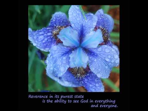 Let JOY transform your life, The Joy Project by Amanda Gore