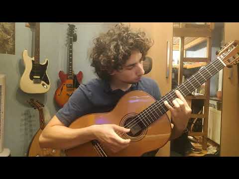 L'amour impitoyable - Berserk (Guitar Cover)