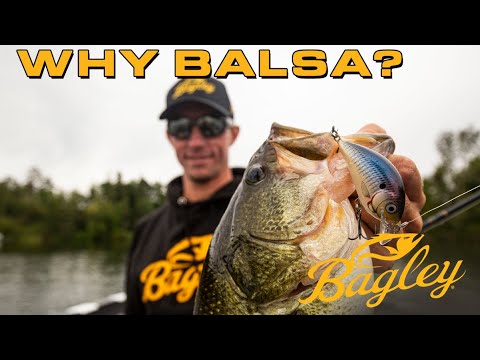 Better with Balsa Crankbaits! (Matt Becker)