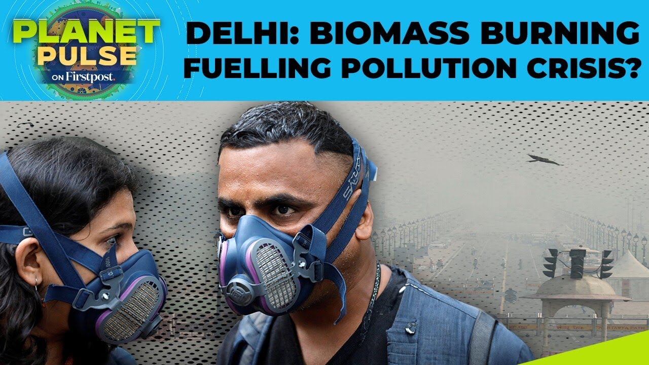 Biomass Burning a Major Driver of New Delhi’s Winter Air Pollution: Think Tank | Planet Pulse