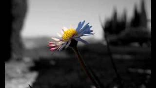 Biagio Antonacci - Mio Padre è Un Re (Maniakal SoftSoundMix).wmv