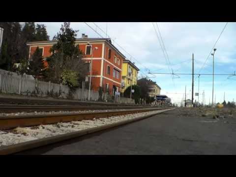 TIGRE IN TRANSITO CON MERCI E STROMBAZZATA : BORGO S.DALMAZZO (CN) 8 - 12 - 2014.