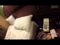 Olaf Wake Up Call Walt Disney World