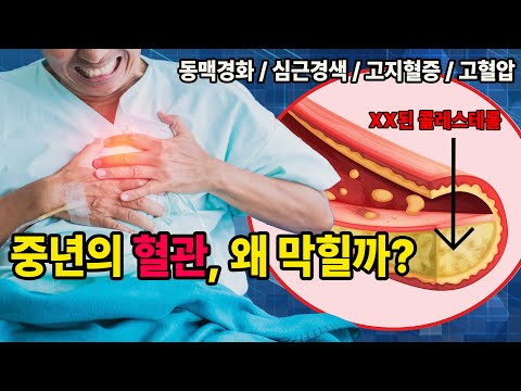 늦기 전에 부모님께 보여드리세요 | 고지혈증, 고혈압, 동맥경화