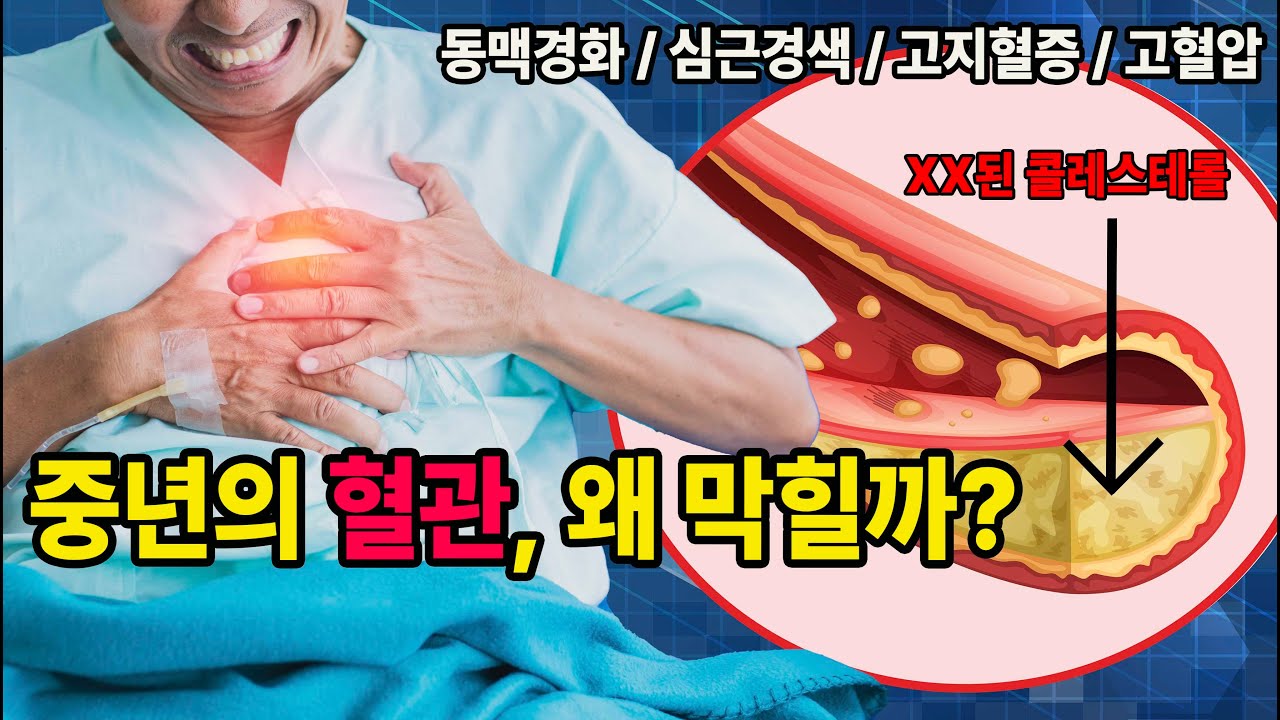 늦기 전에 부모님께 보여드리세요 | 고지혈증, 고혈압, 동맥경화