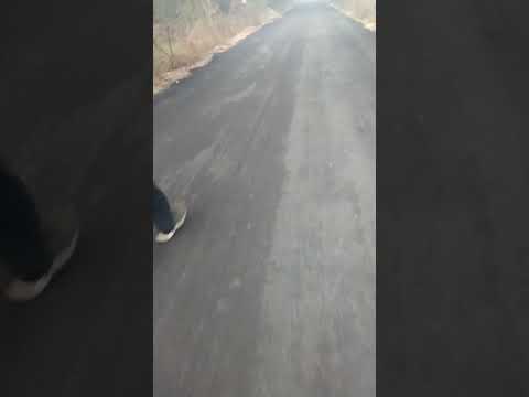 village ghasera post office khambi th hodal disst palwal haryana 121106