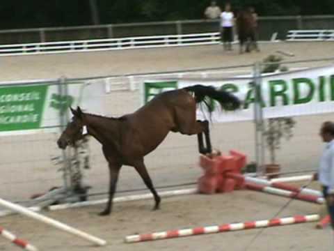 QUAPRICE / DIABLEUR- FIRST JUMP OF QUAPRICE PRODUCTS- 2 yea