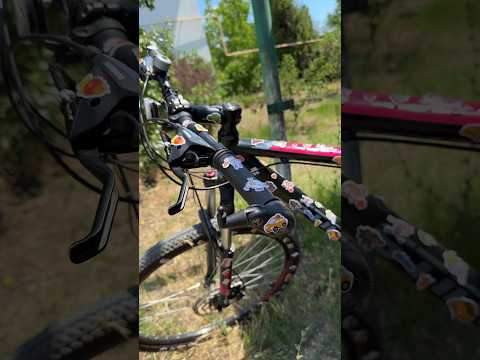 LOL and Cringe Gamer