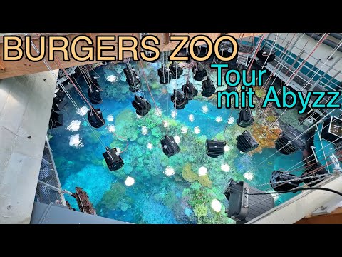 Burgers' Ocean in Arnhem | Behind the Scenes | Tour with Alex from Abyzz