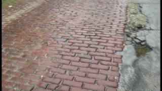 Blood of My Blood By Slightly Stoopid