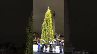 Watch The London Christmas Tree Light Up!