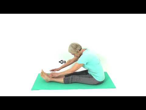 Long Sitting Hamstring and Back Stretch