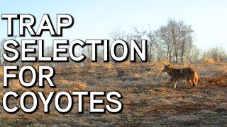 What Traps To Use For Coyote Trapping