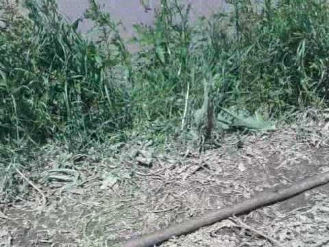 bacel,inundatii2010-29-06.covasna