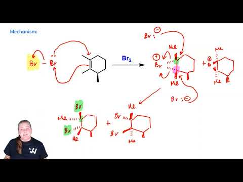Learn the 3 Steps for Halogenation & Examples | Learn Organic Chemistry with Wizeprep