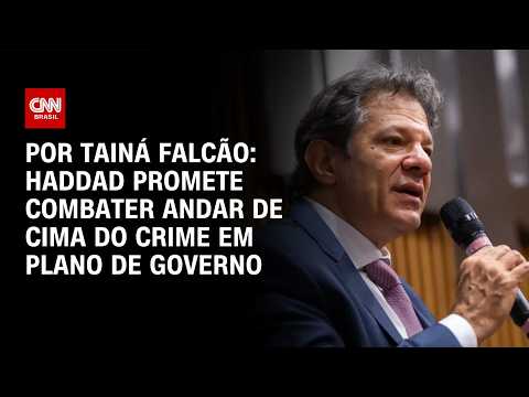 Haddad prometerá combate ao “andar de cima” do crime em plano de governo | BASTIDORES CNN