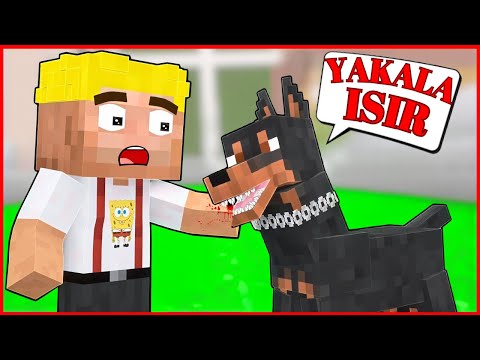 ARDA'nın KÖPEĞİ EFEKANI ISIRDI! 😱 - Minecraft