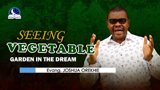 Seeing Vegetable Garden in the Dream - Biblical and Spiritual Meaning