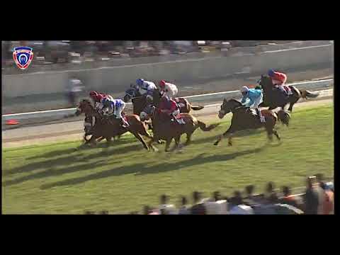 RM15 R8 | Zenzero | M.Nunes