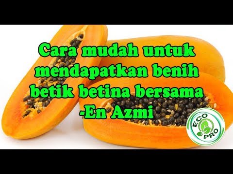 Resep rakyat potensi peningkatan Tsinkteral dan ulasan potensi