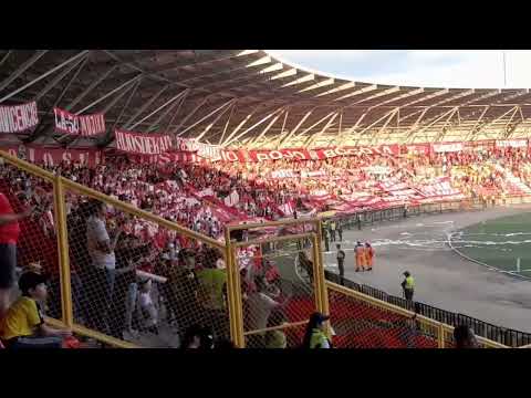 "La hinchada americana es la más grande, hoy desde el bello horizonte rey Pelé !!!" Barra: Baron Rojo Sur • Club: América de Cáli