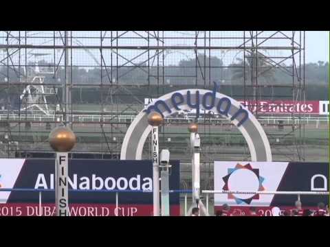 UAE DERBY 2015 DE KOCK RULES AS MUBTAAHIJ TURNS DERBY INTO ONE-HORSE RACE