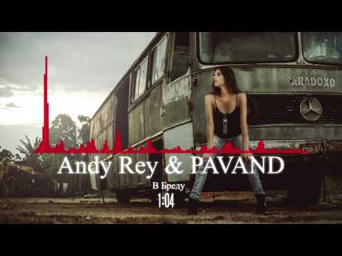 Andy Rey & PAVAND - В Бреду