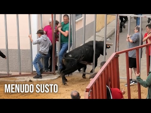 Menudo Susto Nueva Villa 2024