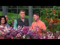 Roberta's 9-pc. Heat Loving Villa Roma Dwarf ...
