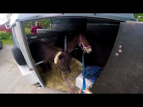 Hjemreise, etter 5 dager i Verdal! / 06.07.2018