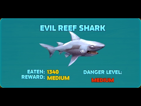 hungry shark evolution - reef shark
