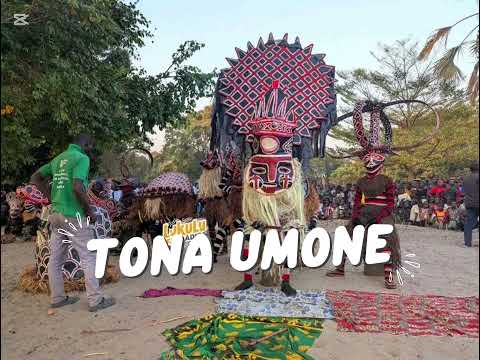 Y Shed  TONA UMONE OFFICIAL SONG FOR LIKUMBI LYA MIZE 