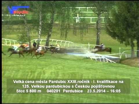 23. 5. 2015 - 6. dostih - Velká cena města Pardubic - XXIII. ročník - I. kvalifikace na VP