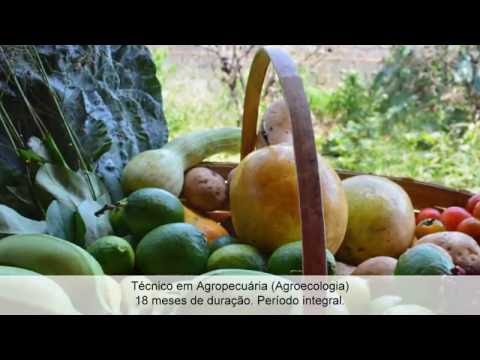 IFSULDEMINAS-Campus Machado - Cursos oferecidos