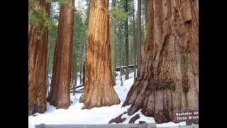 Annabel - by Kat Goldman - performed by The Duhks