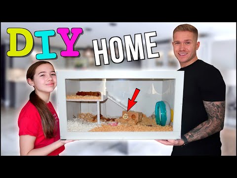 WE BUILT MILLIE A NEW HAMSTER CAGE! *WE GOT SO MUCH HATE! 😢