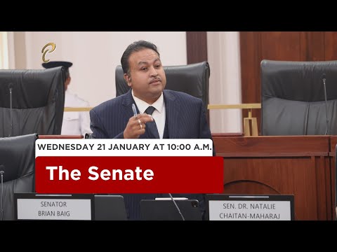 17th Sitting of the Senate - 1st Session - 13th Parliament - January 21, 2026