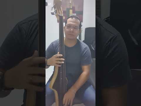 Entre tu y ella (el combo de las estrellas) ..cover bajo