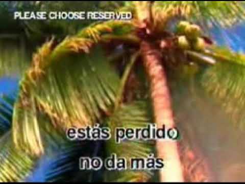 KARAOKE   FUE AMOR   T CON T